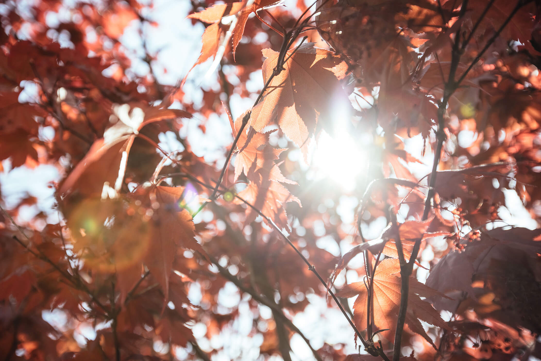 Natur - Hotel Rablanderhof