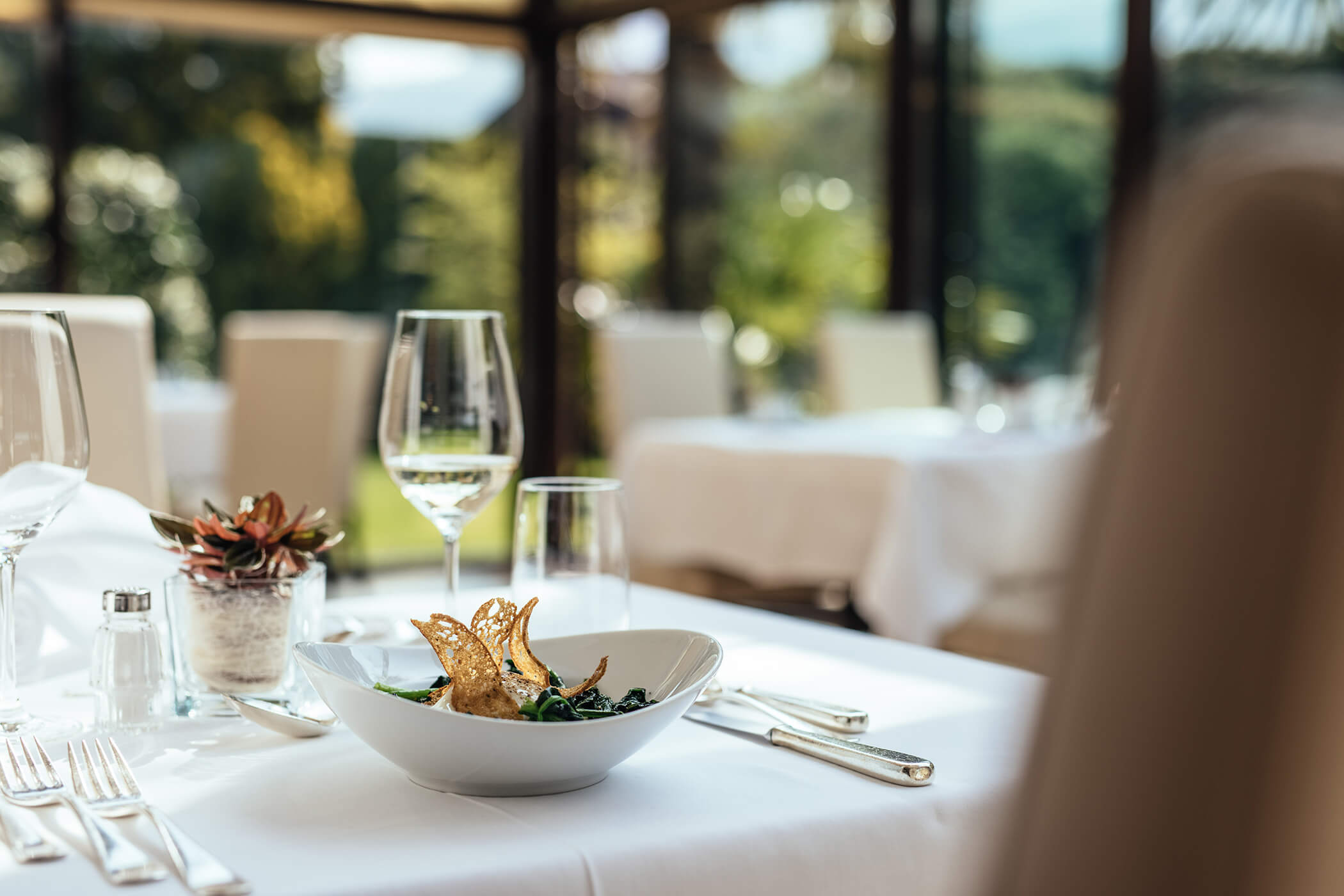 Cena culinaria buona