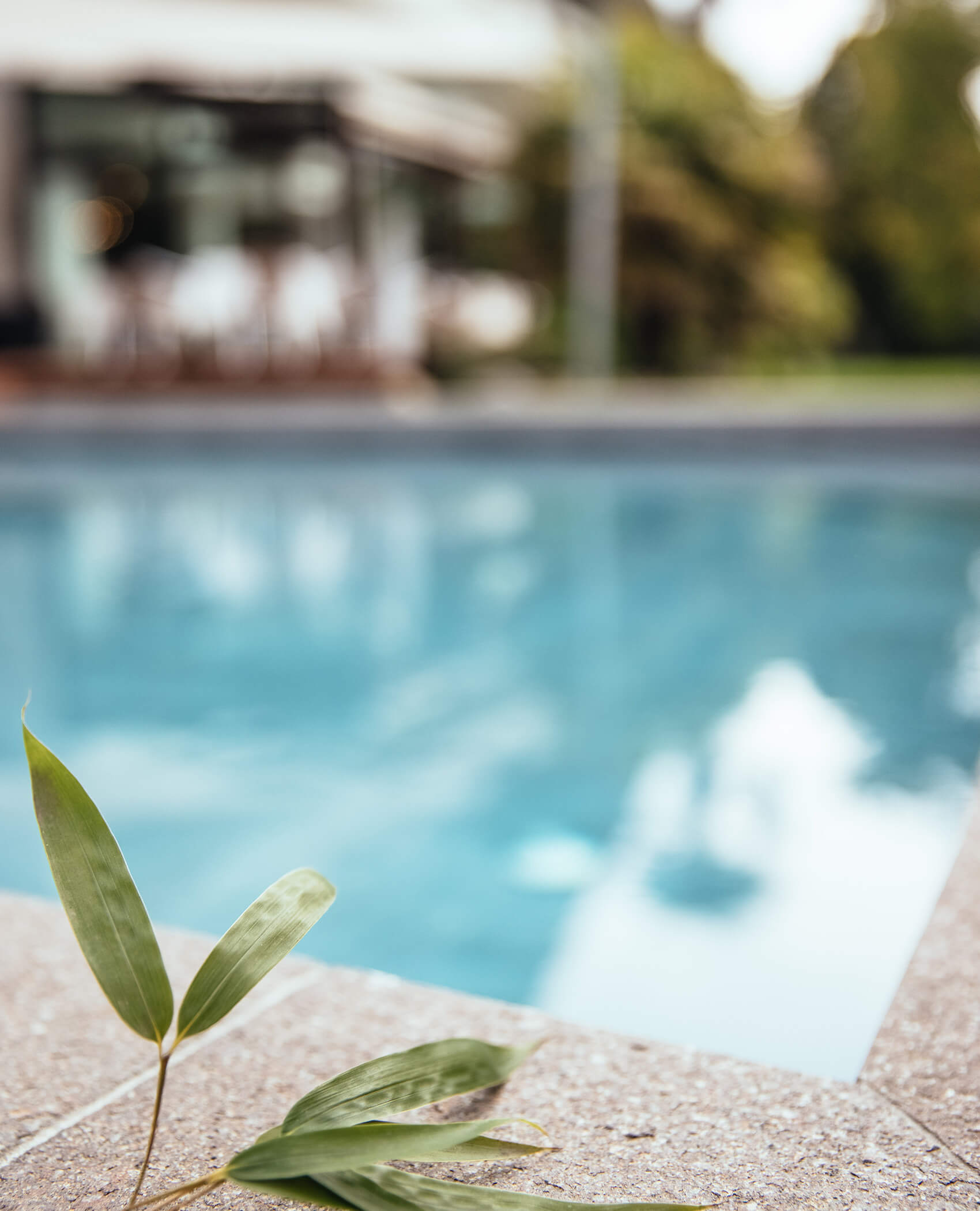 Pool - Hotel Rablanderhof